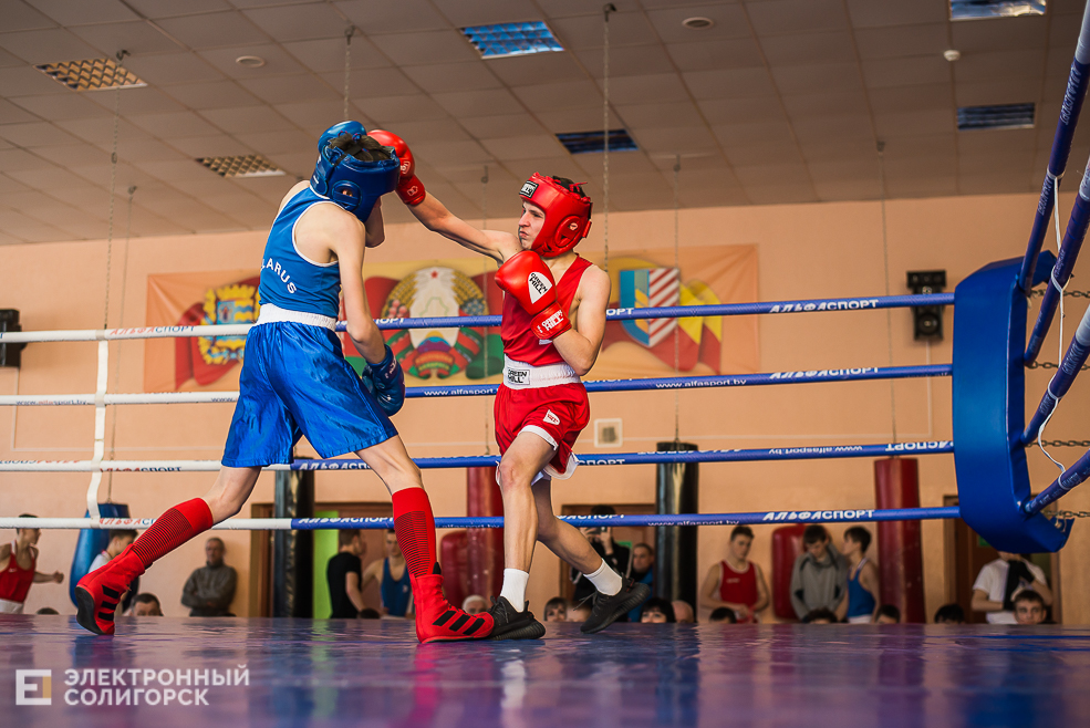 турнир по боксу