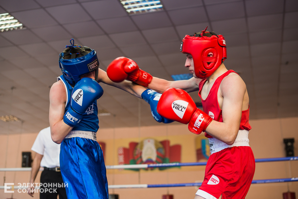 турнир по боксу