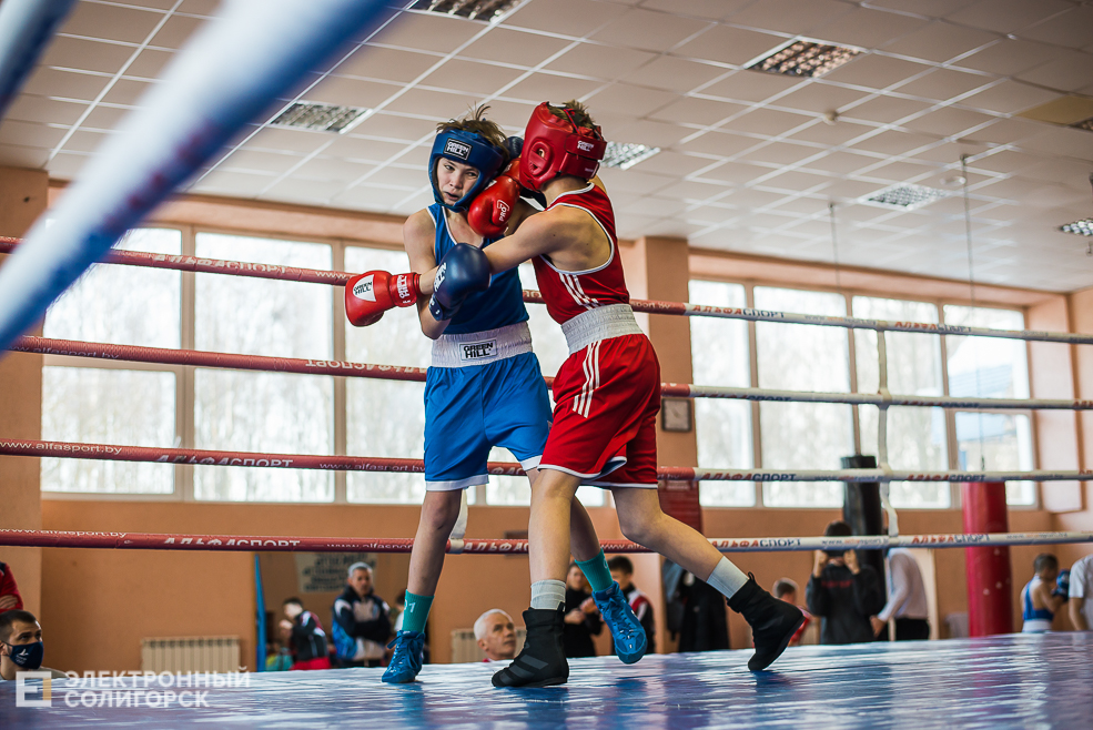 турнир по боксу