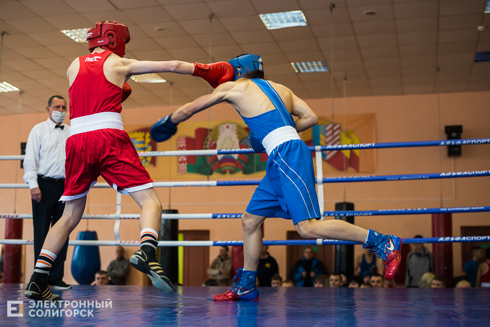 турнир по боксу