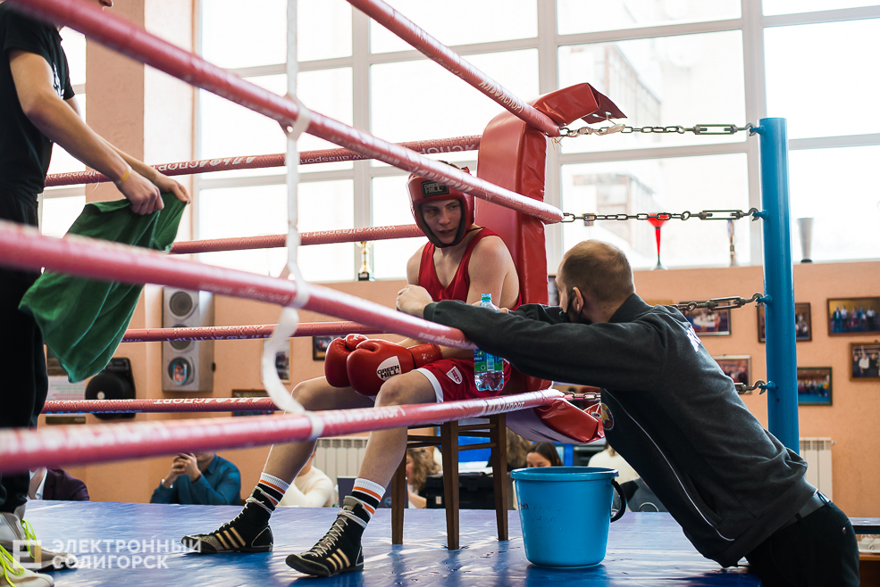 турнир по боксу