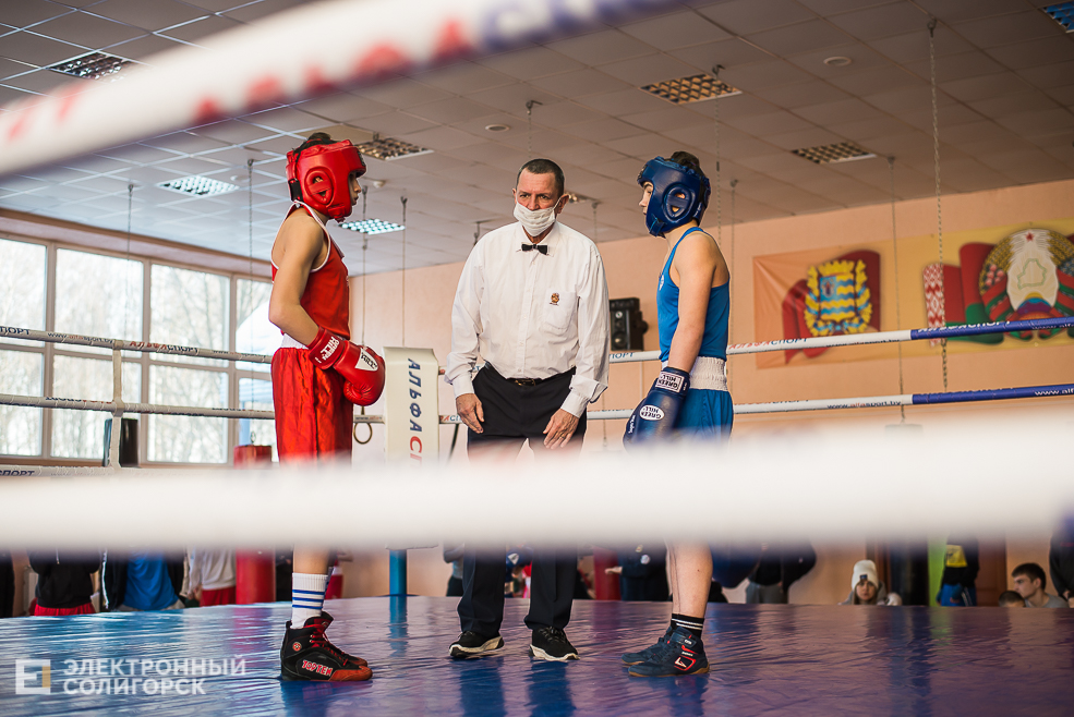 турнир по боксу