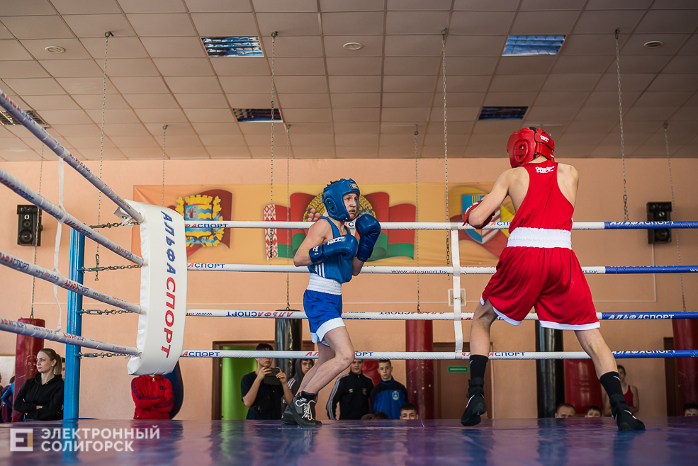 турнир по боксу