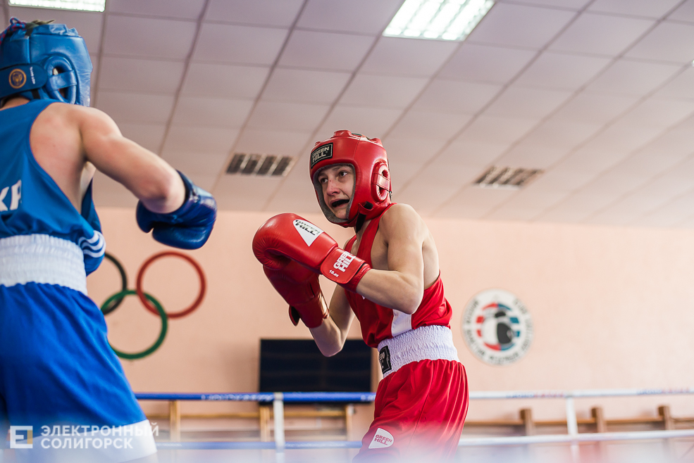 турнир по боксу