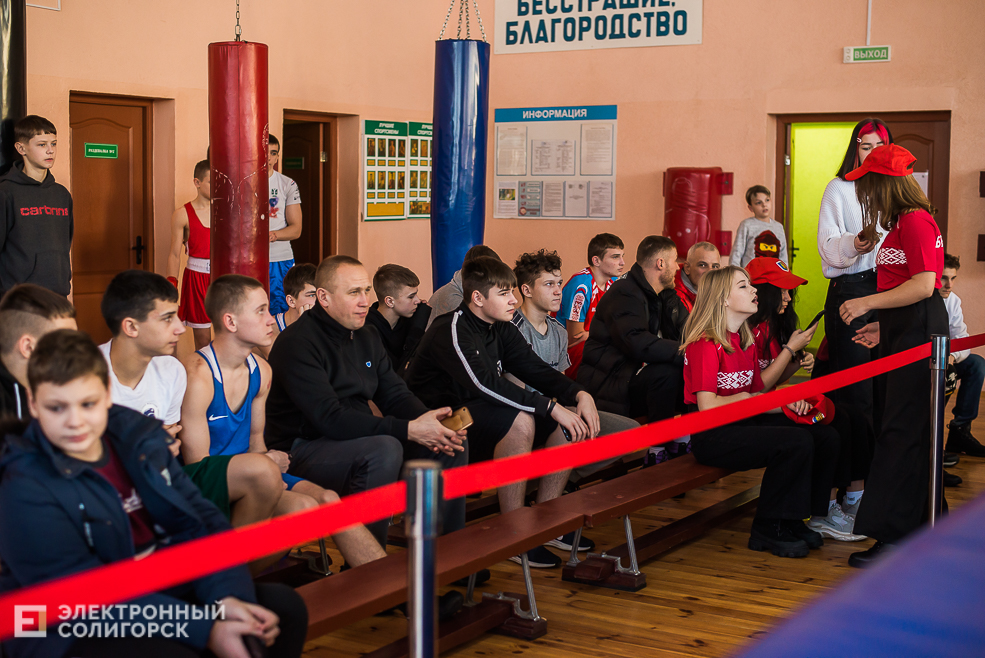 турнир по боксу