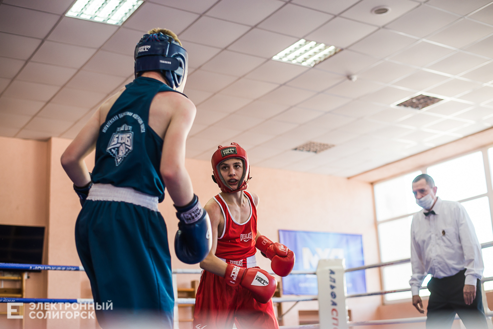 турнир по боксу