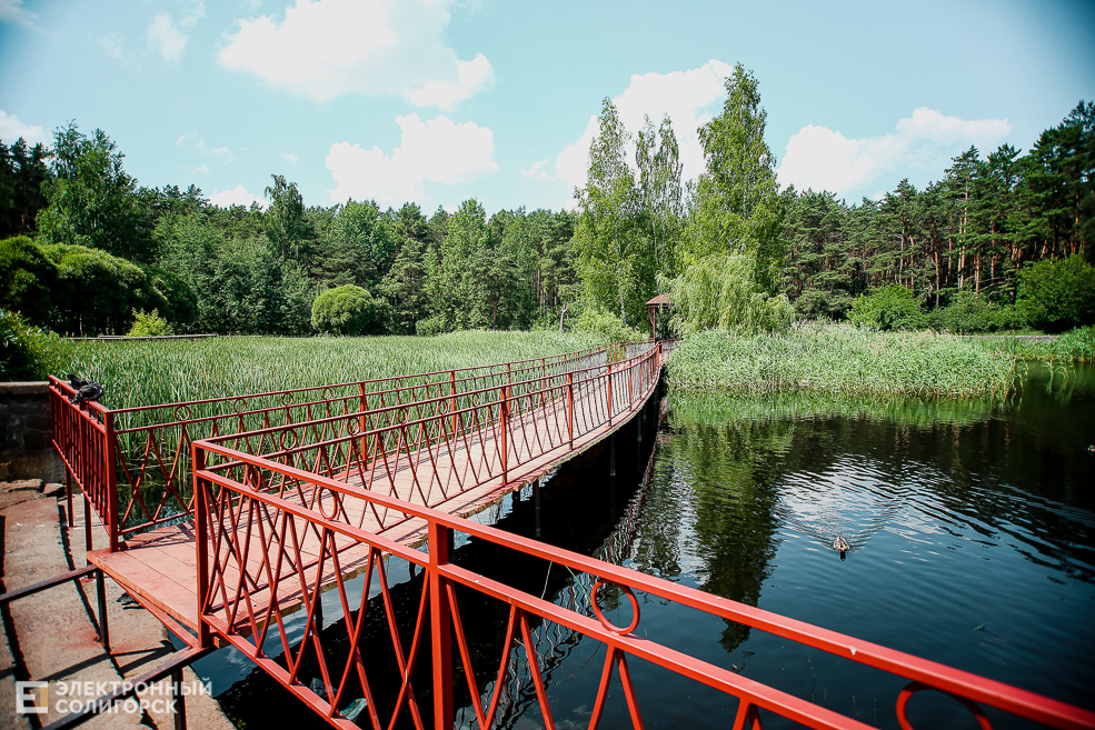 mostik liagushatnik 1