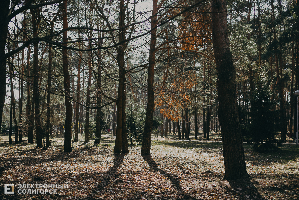 солнечная прогулка