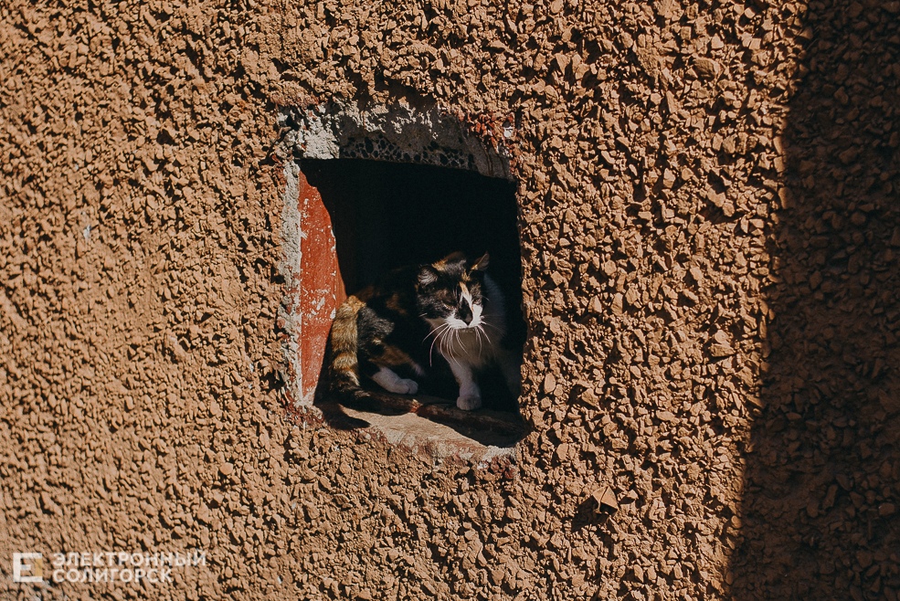 солнечная прогулка