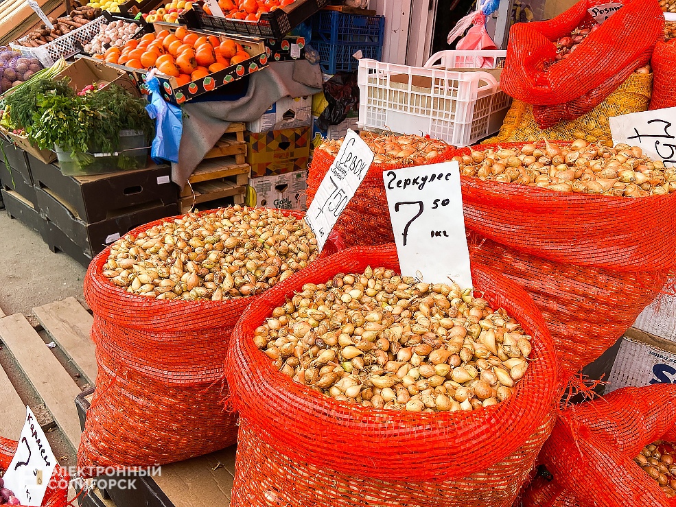 цены на рынке