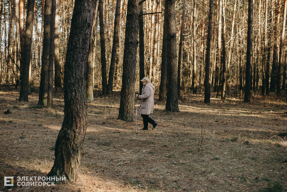 выходной на тропе здоровья