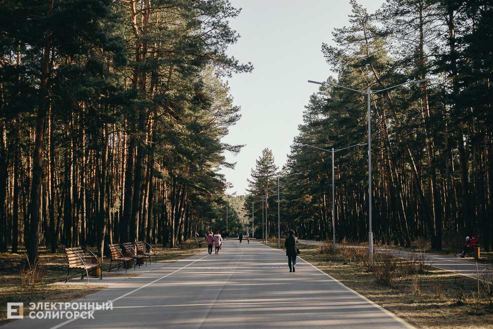 выходной на тропе здоровья