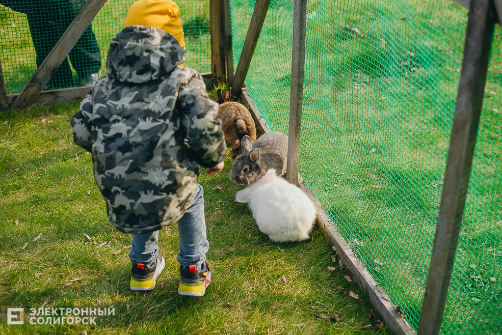 праздник 1 мая