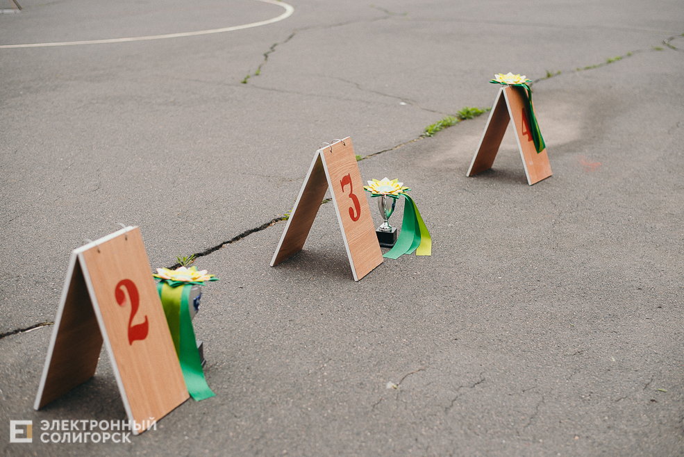 выставка собак