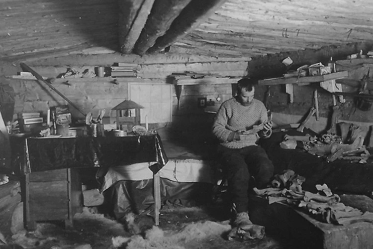 vollosovitch povarn1