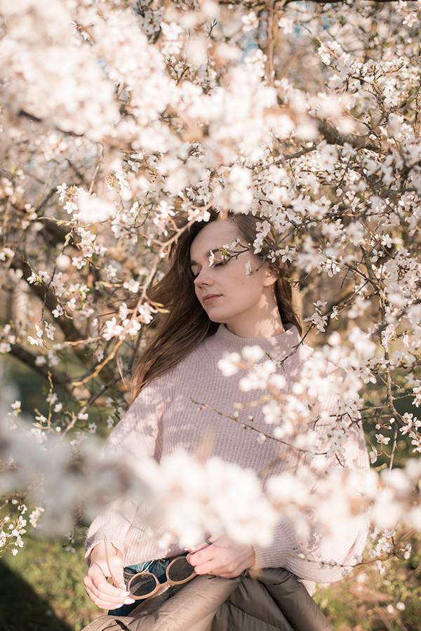 цветущие деревья