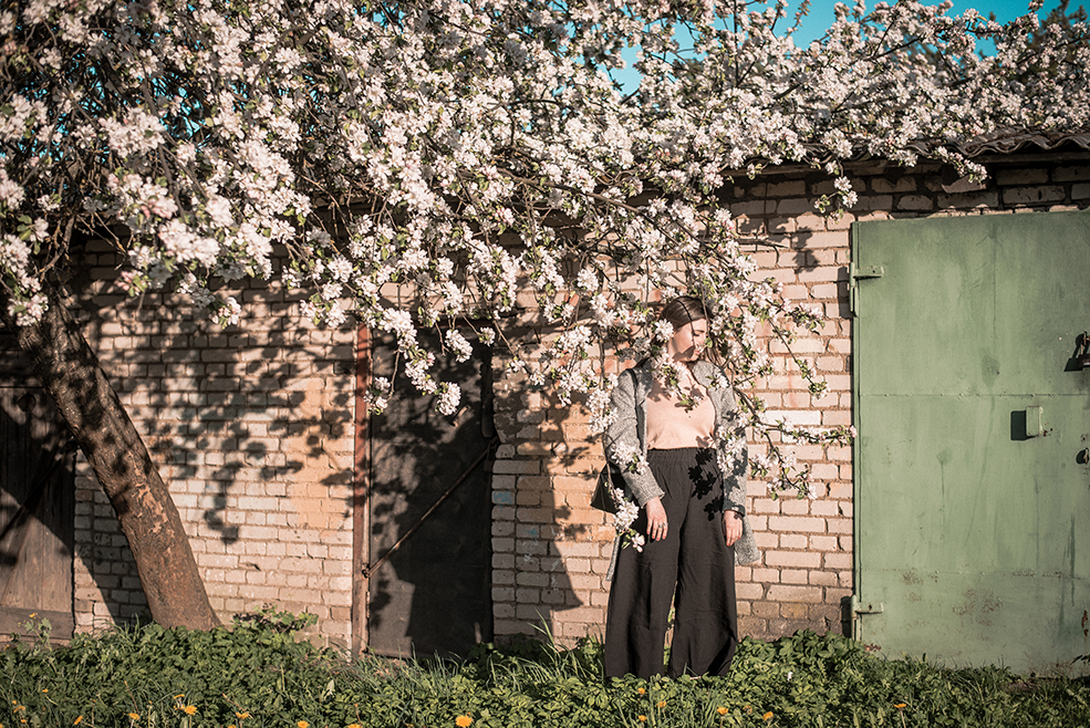 цветущие деревья