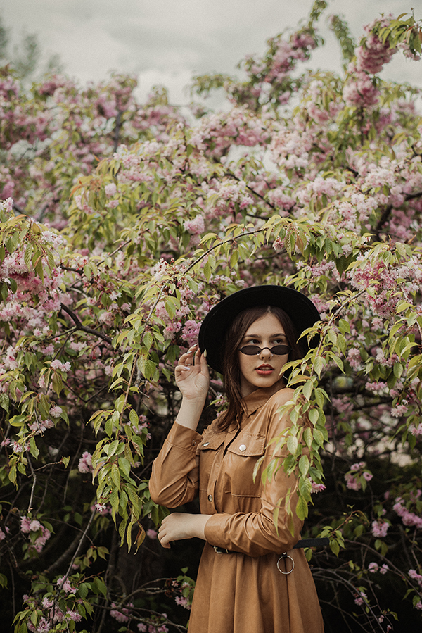 цветущие деревья