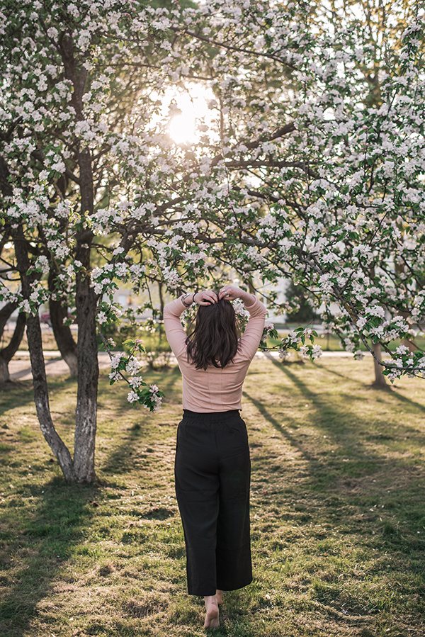 цветущие деревья