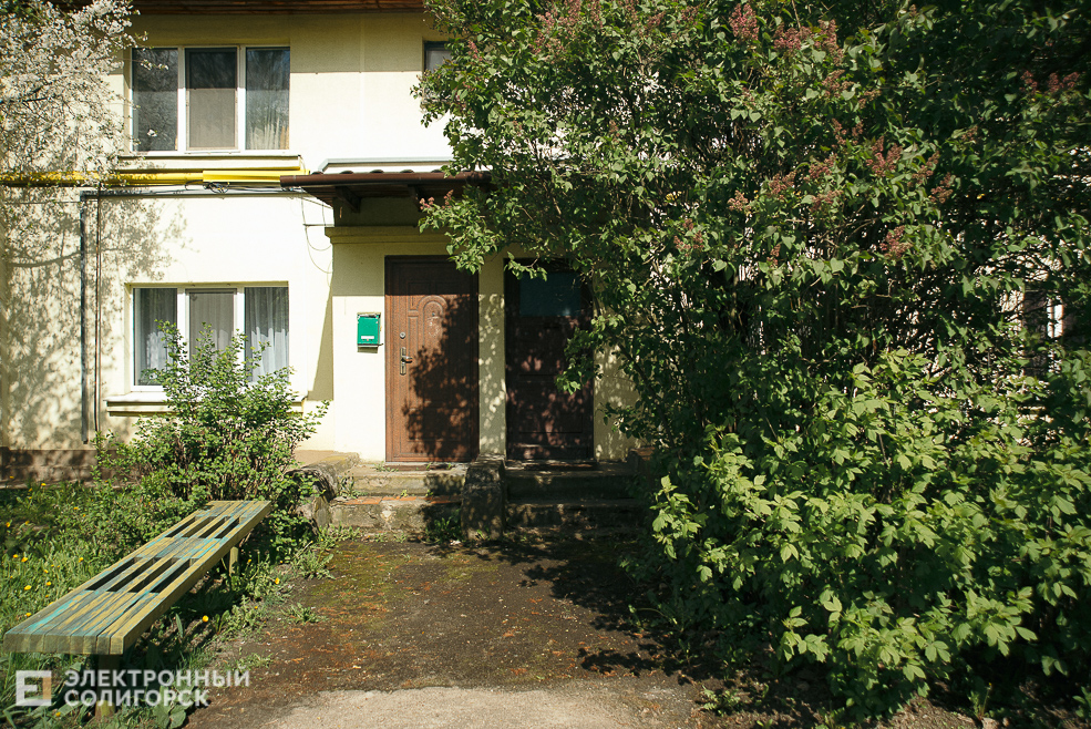 цветущие деревья