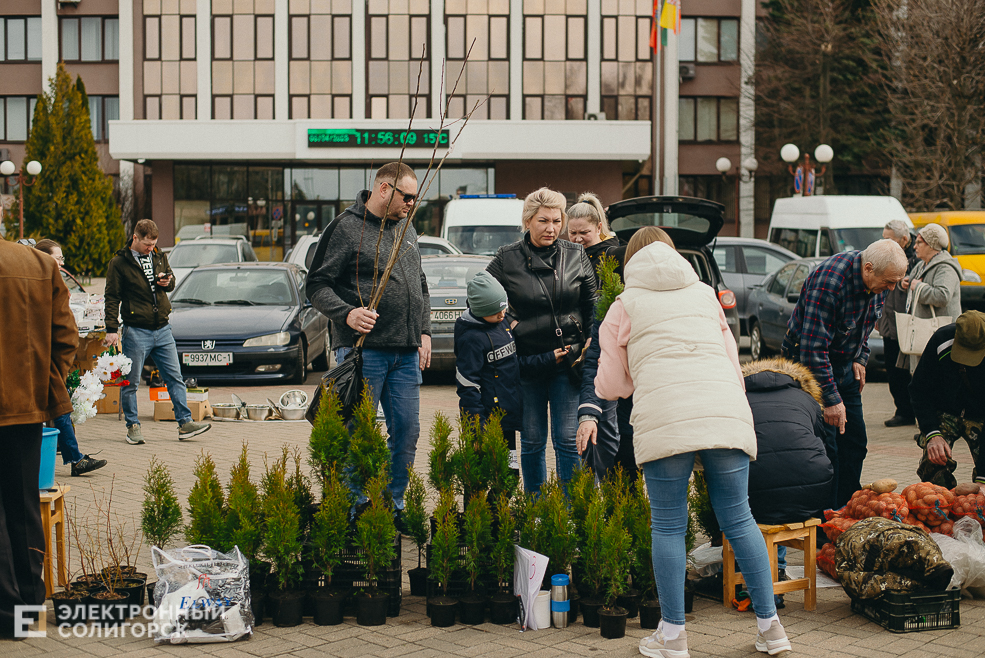региональная ярмарка