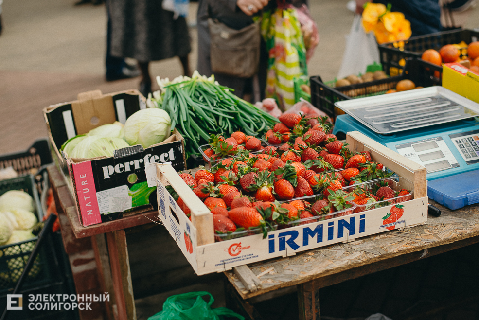 региональная ярмарка