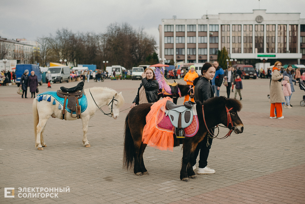 региональная ярмарка