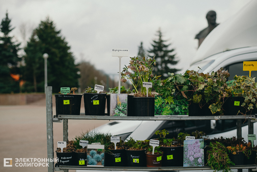 региональная ярмарка