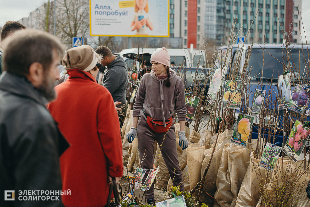 региональная ярмарка