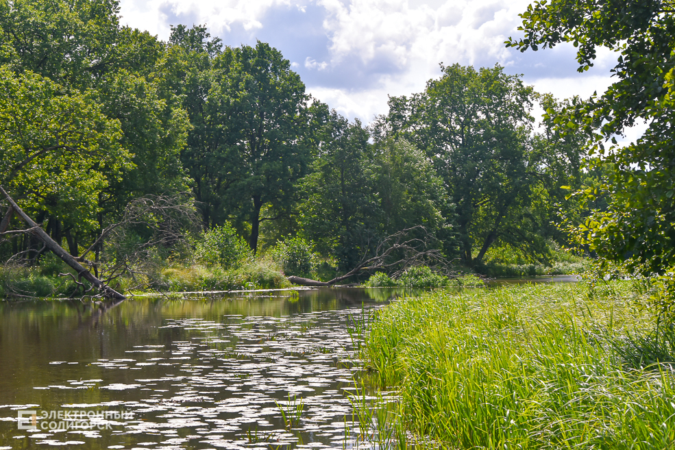 Переехать из города в деревню и построить плот