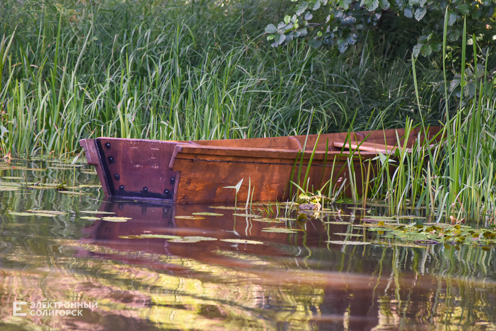 Переехать из города в деревню и построить плот