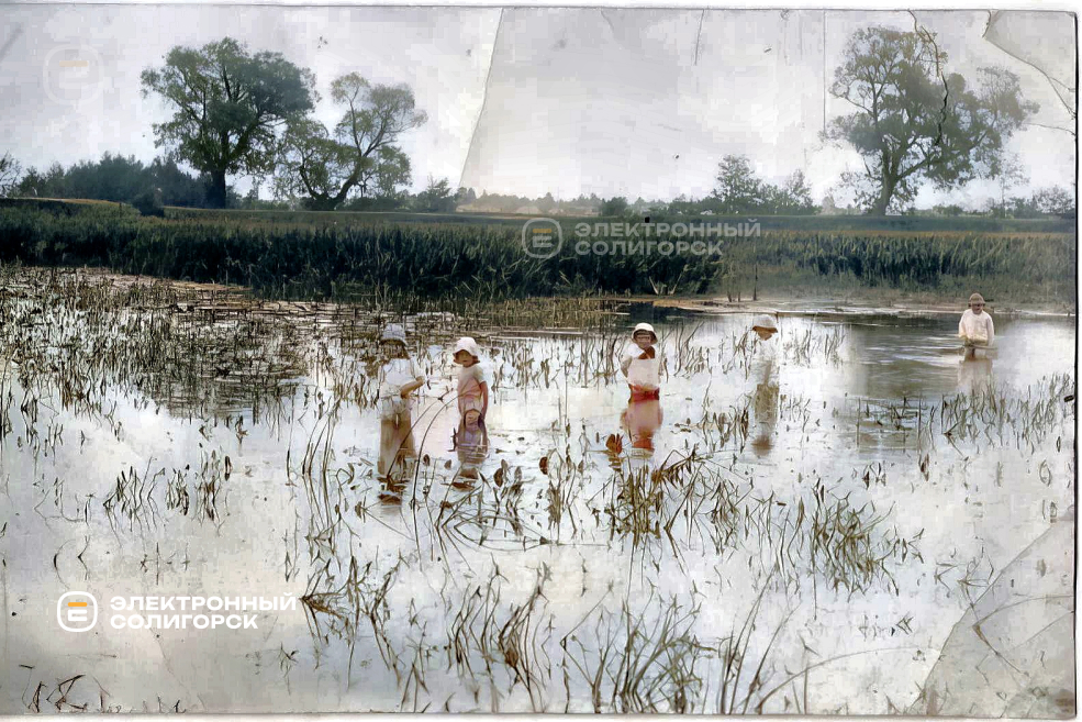 Имение Метявичи Слуцкого уезда