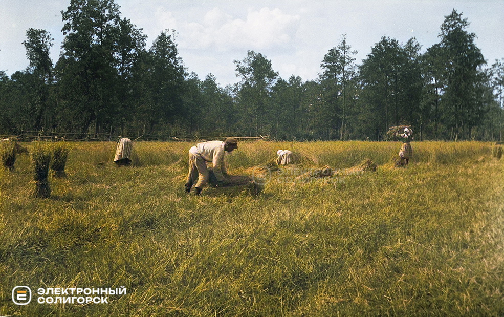 Жизнь и быт полесских крестьян