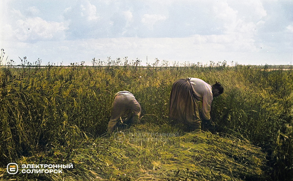 Жизнь и быт полесских крестьян
