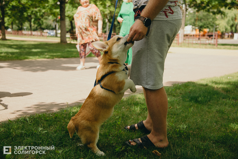 3 июля 2023 дневная атмосфера