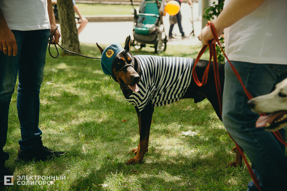 3 июля 2023 дневная атмосфера