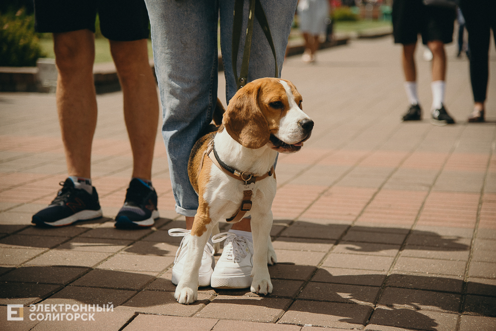 3 июля 2023 дневная атмосфера