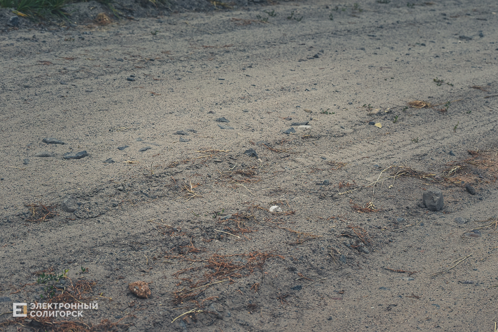 Красная Слобода Солигорского района