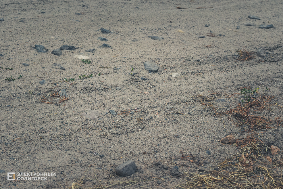 Красная Слобода Солигорского района