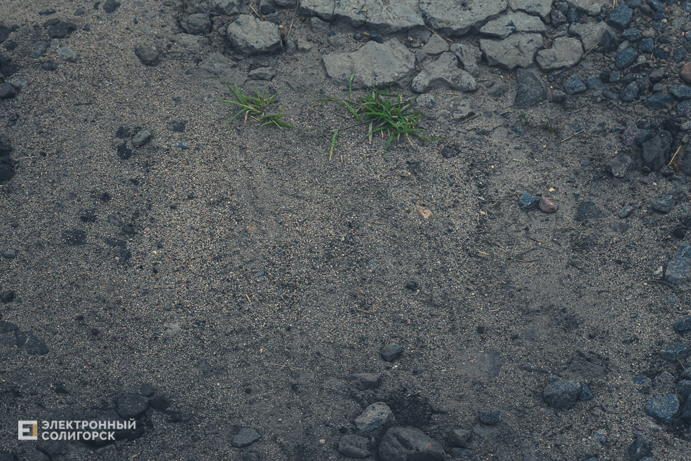 Красная Слобода Солигорского района