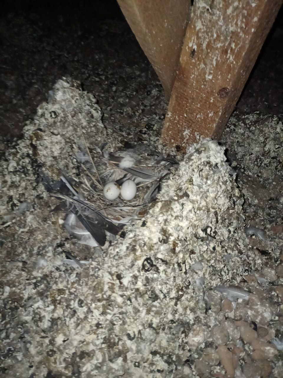 Красная Слобода Солигорского района