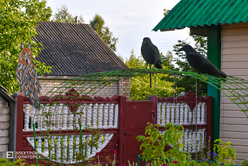 Деревня Паничи Слуцкого района