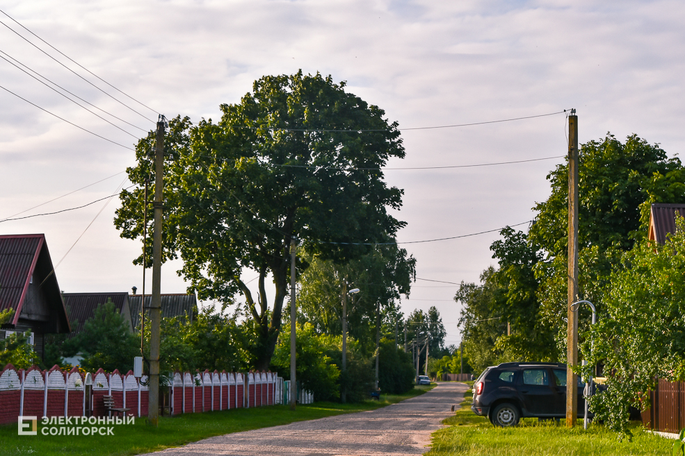 Деревня Паничи Слуцкого района
