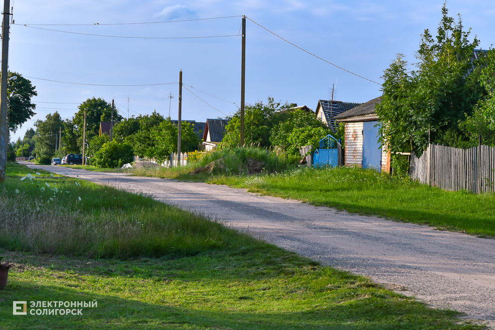 Деревня Паничи Слуцкого района