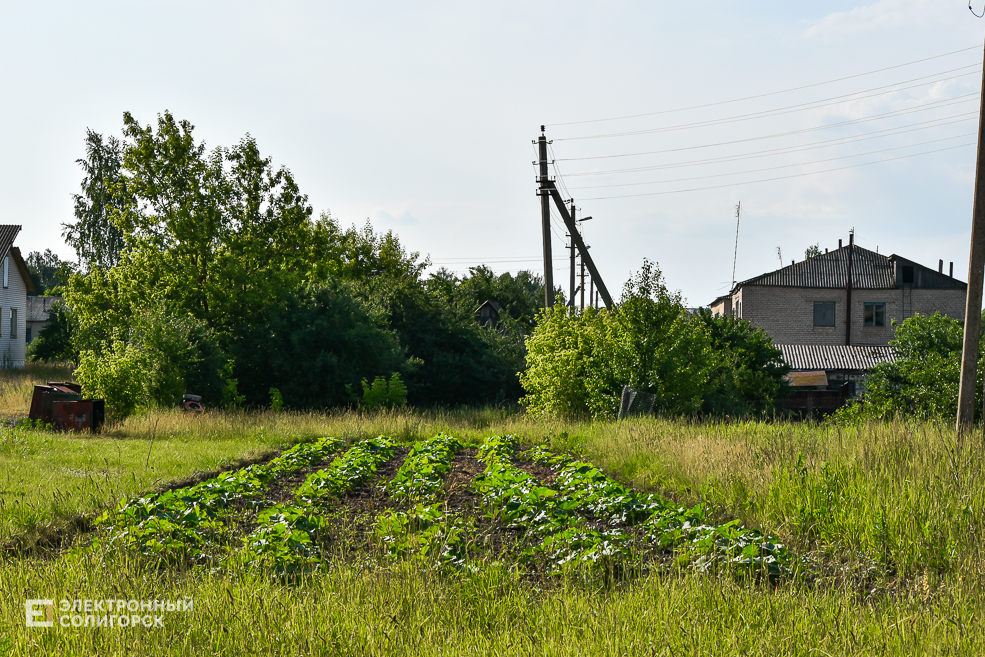 Деревня Доросино Любанского района