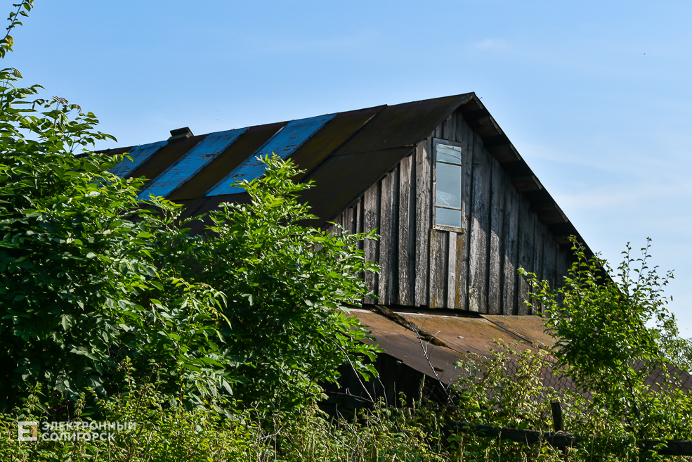 Деревня Доросино Любанского района