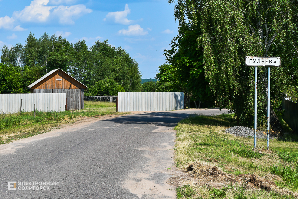 Деревня Гуляево Слуцкий район
