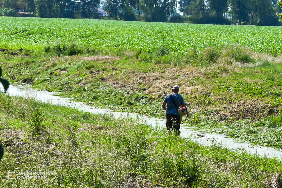 Деревня Гуляево Слуцкий район