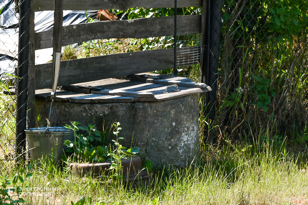 Деревня Гуляево Слуцкий район