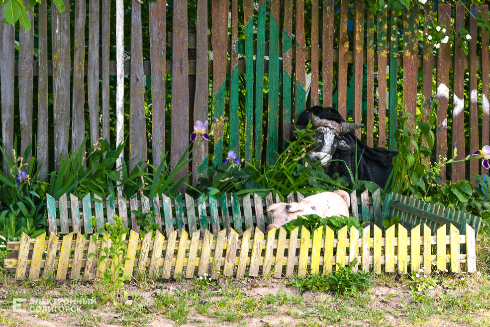 Деревня Радково Солигорский район